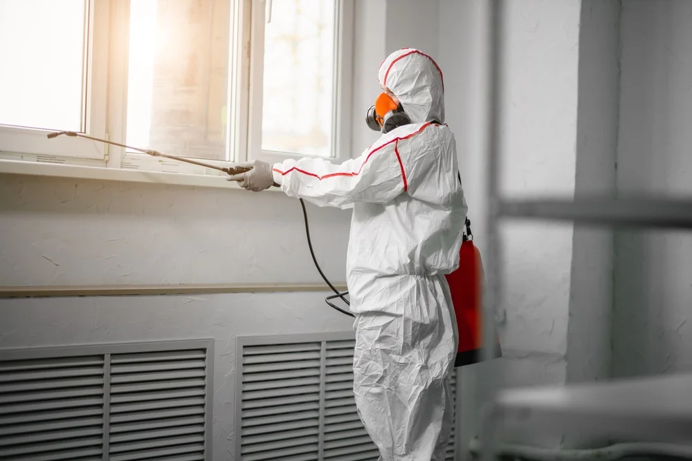 Professional mold remediation services in New Lothrop, MI